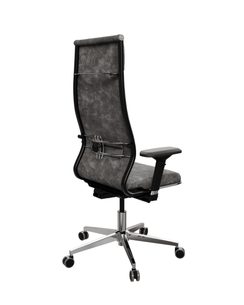 Кресло руководителя (офисное) ErgoLife SynchroSit 10 1F9.3.1.544 (SynchroSit 10 L1-142D - Bravo /Km1 фото