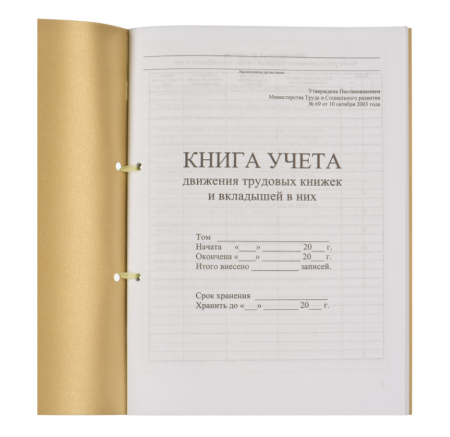 Книга учета движения трудовых книжек и вкладышей к ним, 32 л., сшивка, плобма, обложка ПВХ, 130203 фото