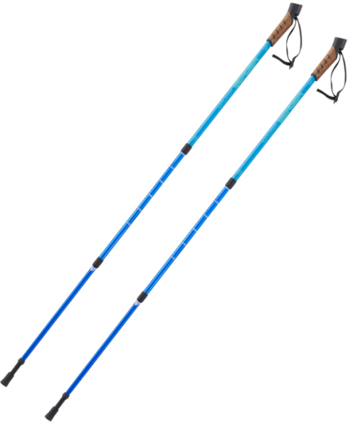 Палки для скандинавской ходьбы BERGER Explorer 3-секционные, 67-135 см синий купить ЦИТ Палки для скандинавской ходьбы BERGER Explorer 3-секционные, 67-135 см синий фото