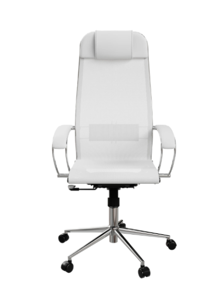 Кресло руководителя (офисное) ErgoLife Set 4/подл.131/осн.Synchro 052 (Белый 22E.16.1.403 фото