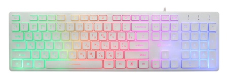 Клавиатура Oklick 550ML белый USB slim Multimedia LED фото