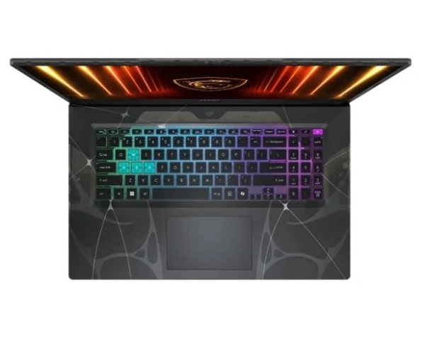 Ноутбук MSI Cyborg 17 B2RWFKG-284XRU 17.3"FHD(1920x1080) IPS/Core 5 210H 8с/16Gb/1Tb SSD/RTX 5060 8G фото