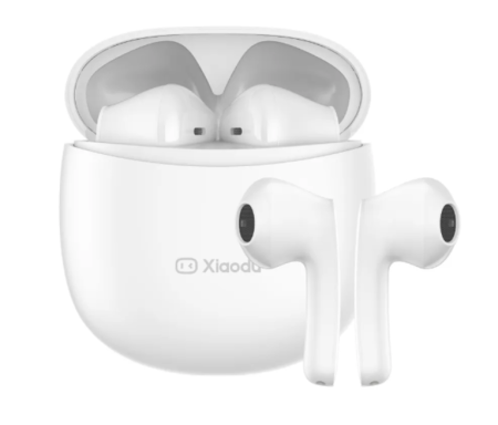 Беспроводные bluetooth наушники Xiaodu DU Smart Buds XD-SWA14-2101 фото