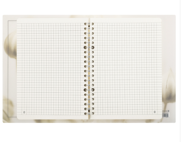 Тетрадь на кольцах А5, 80л., Greenwich Line "View", пластиковая обложка, с разделителями купить ЦИТ Тетрадь на кольцах А5, 80л., Greenwich Line "View", пластиковая обложка, с разделителями фото