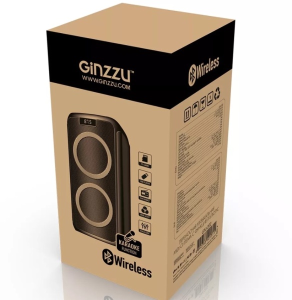 Минисистема GINZZU GM-202 фото