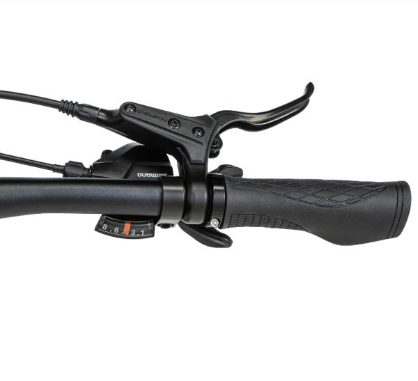 (м) Велосипед горный Welt 29" Sienna 1.0 HD (2026) фото